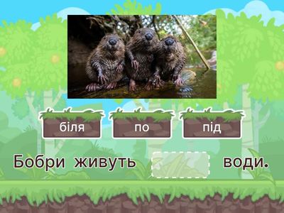 Службові слова