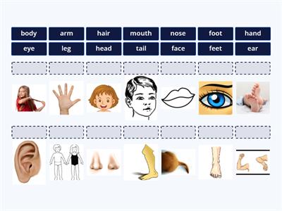 Body parts power up 1