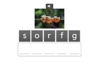 New words - Frogs in the well