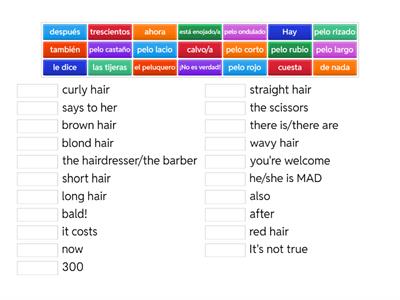 ROY El Robot Peluquero