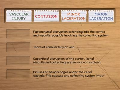 RENAL TRAUMA