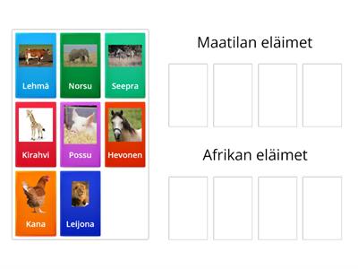 Osaatko lokeroida maatilan ja Afrikan eläimet oikeisiin laatikoihin?