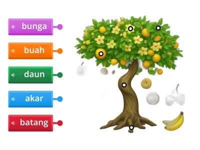 Bahagian Pokok Versi 2