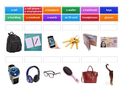 A1: Personal objects