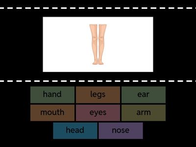Body Part Find the Match