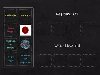 Blood Cells Sorting