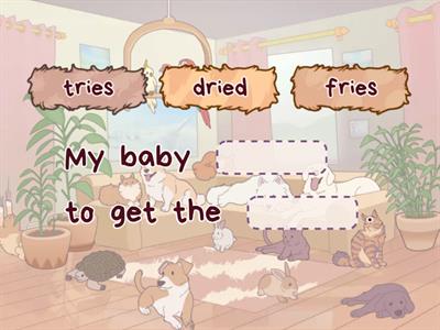 Drop the y, add i Sentences