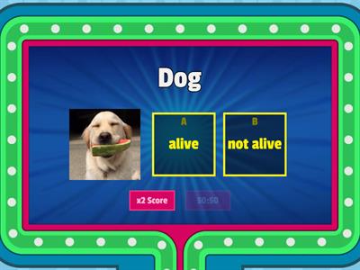 Living and Non-Living Things