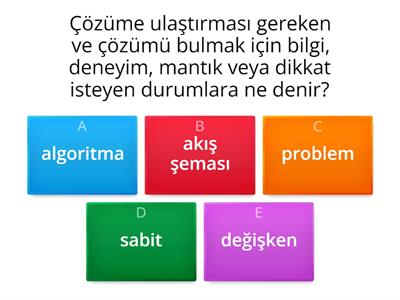 Problem çözme adımları