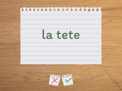 Частини тіла