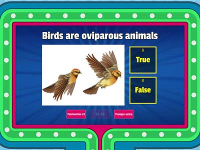 QUIZZ - Viviparous and Oviparous animals 