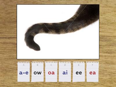 choose the correct long vowel