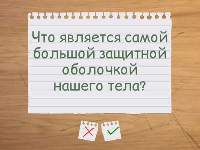 Мы и наше здоровье