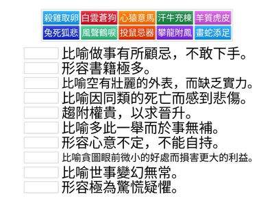 B4L06〈迷途羔羊—弗氏海豚〉