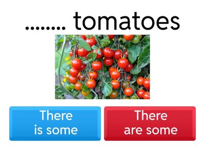 There is some / There are some