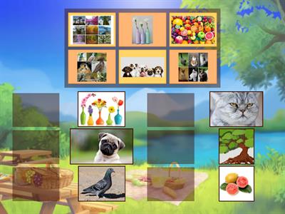 Identificar grupos de objetos y animales