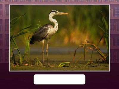 Словарные слова. 2 класс. 3 часть