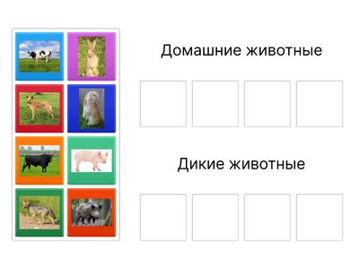 Без Названия1