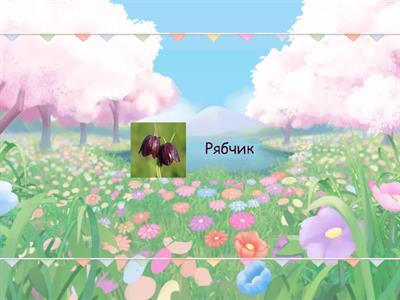 Первоцвіти. Розвивай пам'ять, уважність та швидкість читання. Запам'ятовуй первоцвіти нашого краю.