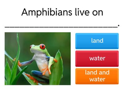 AMPHIBIANS (VERTEBRATES) - Unit 3 