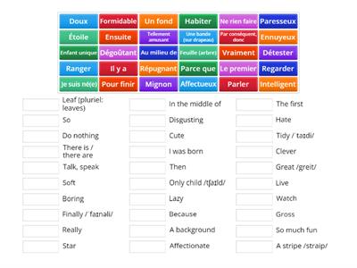 Vocabulary Challenge 5D 'A flag about me'