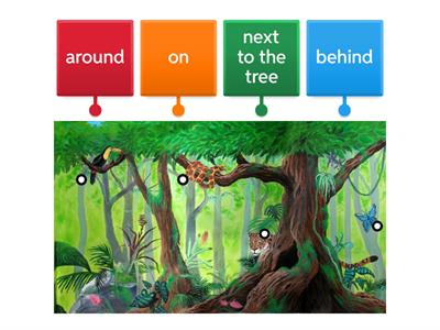 Jungle-behind, around, on, next to