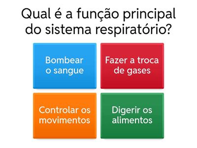 Corpo humano atividade 