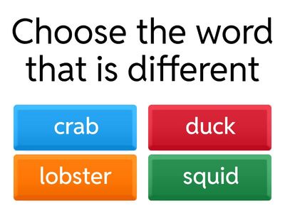 WB p 11 ex2 Eng File B1