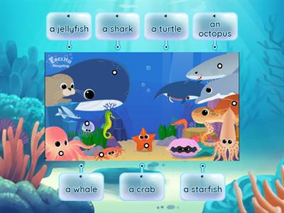 Sea animals