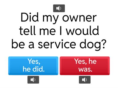 Q & A: Abe the Service Dog