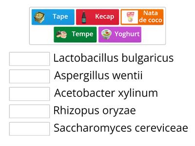 BIOTEKNOLOGI KONVENSIONAL