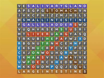 Parts of Digestive System