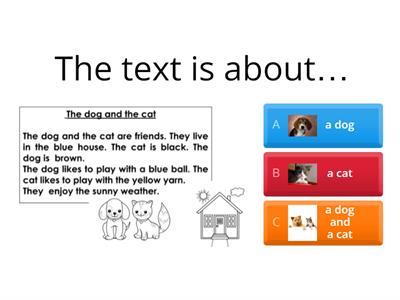 Reading comprehension