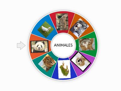 Prácticas del lenguaje 1er grado 