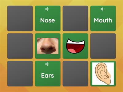 Memory Game - Parts of the face