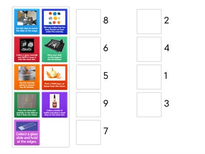 Preparing a microscope slide.