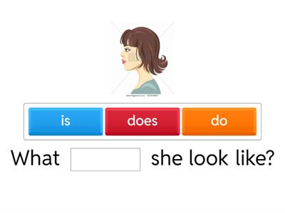 What ... look like? What ... like?