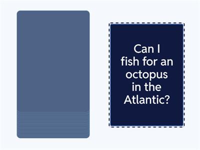 Three Syllable Words (closed & open)