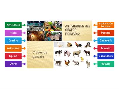 Actividades del sector primario