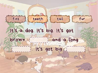 Describing animals - 2nd Grade