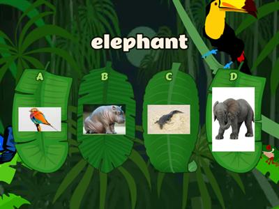 Wild animals quiz