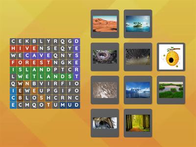 Step 8- animal habitats