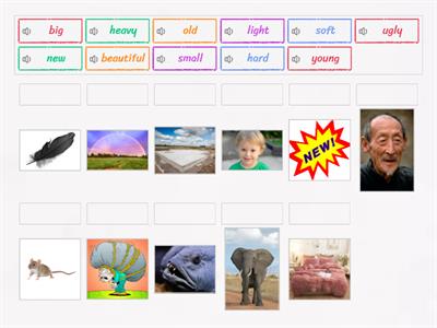 Adjectives (Dive into English 1)