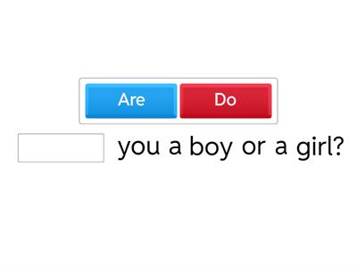 Present Simple Questions: do, does, are, is.
