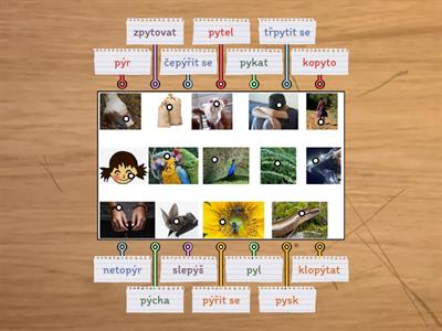 ČJ 3 Vyjmenovaná slova po P a jejich význam