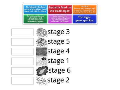 CAX KS4 Eutrophication mix and match