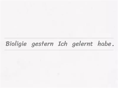 Perfekt - Satzpuzzle