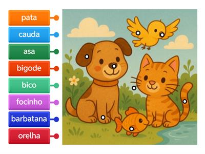 Animais (partes do corpo)