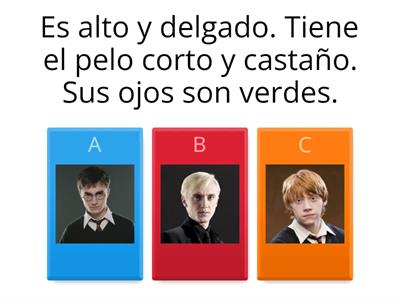 Descripcion fisica