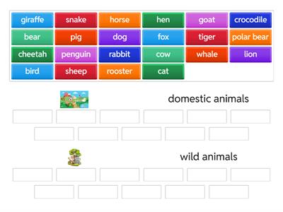 Classify the animals 